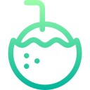 Coconut icon