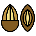 amêndoa 