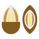 amêndoa 