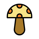 버섯 