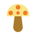Гриб 