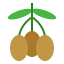 aceituna icon