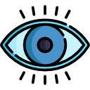 ojo icon