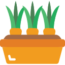 zanahorias icon