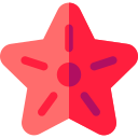 estrella de mar