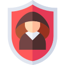 la seguridad cibernética icon