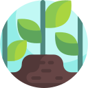 naturaleza icon