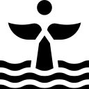 КИТ 