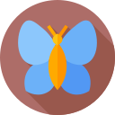 mariposa 