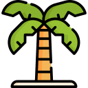 palmera icon