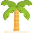 palmera icon