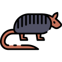 armadillo icon