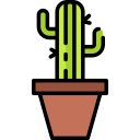 cactus icon