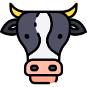 vaca icon