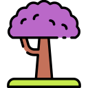 jacaranda icon