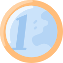 moneda icon