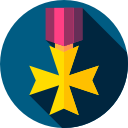 insignias icon