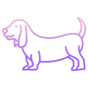 basset hound icon