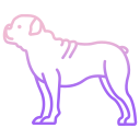 buldog icon