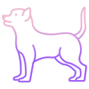 chihuahua icon