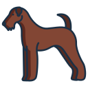 terrier de airedale