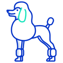 caniche icon