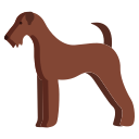 terrier de airedale icon