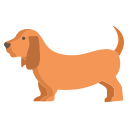 basset hound icon