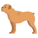 buldog icon