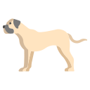 bullmastiff icon