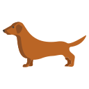 perro tejonero icon