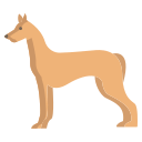 faraó hound 