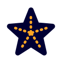 estrella de mar 