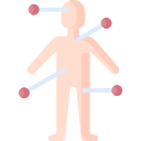 sistema endocrino icon