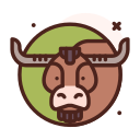 bisonte icon