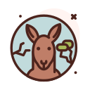 canguro icon