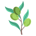 aceitunas icon