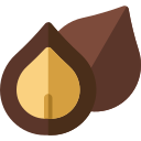 nuez de macadamia icon