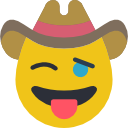 vaquero icon