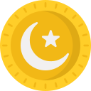 moneda icon