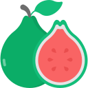 guayaba icon