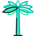 palmera icon