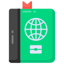 pasaporte icon