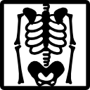 visão do esqueleto em raio-x 