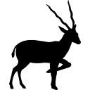 silhouette d'antilope de vue latérale icon