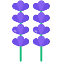 lavanda icon