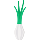 Spring onion 