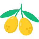 aceitunas icon