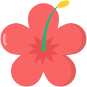 hibisco icon