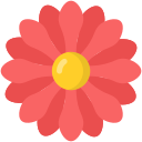 zinnia icon